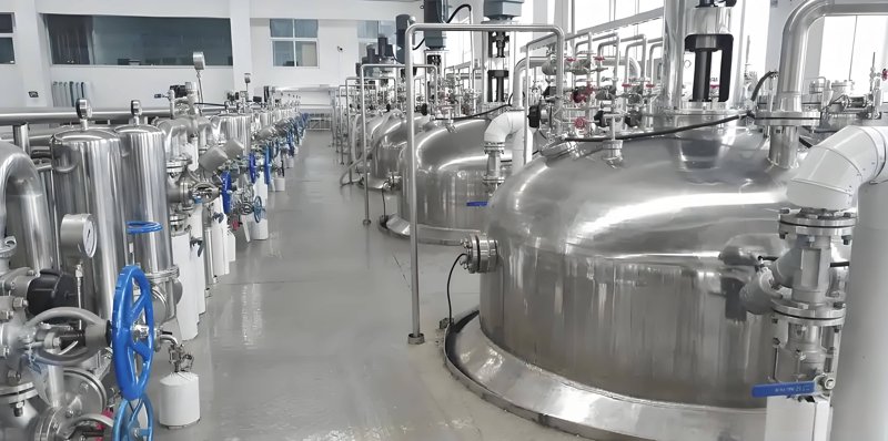 生物发酵技术：未来食品工业的绿宝石