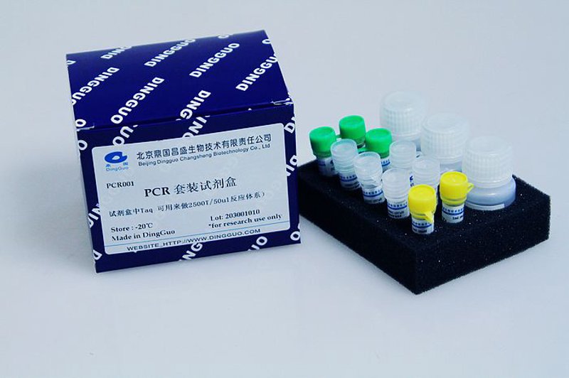 细胞培养：从新手到高手的三大步骤