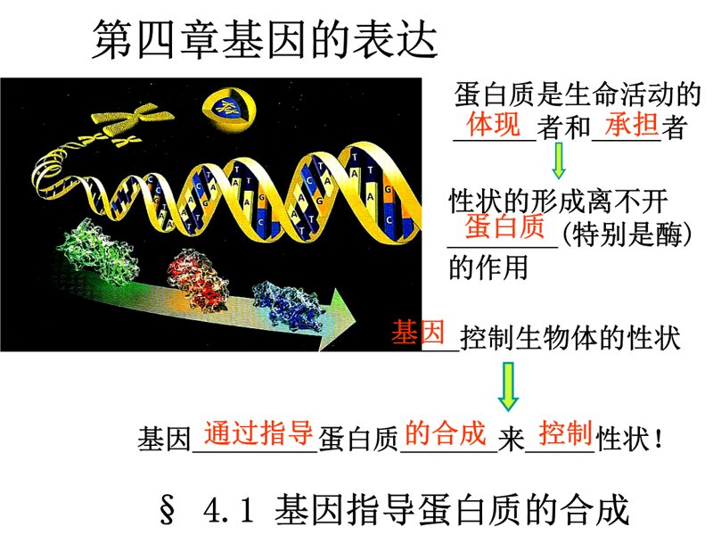 蛋白质表达：从传统方法到现代技术的革新